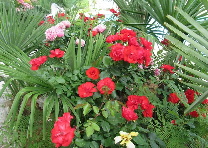 Palme 1 * Opatija