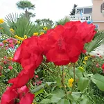 Palme 1 * Opatija