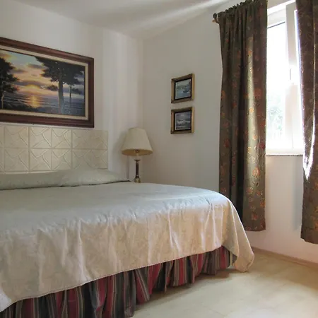 Palme 1 奥帕提亚