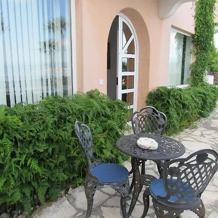 Palme 1 奥帕提亚