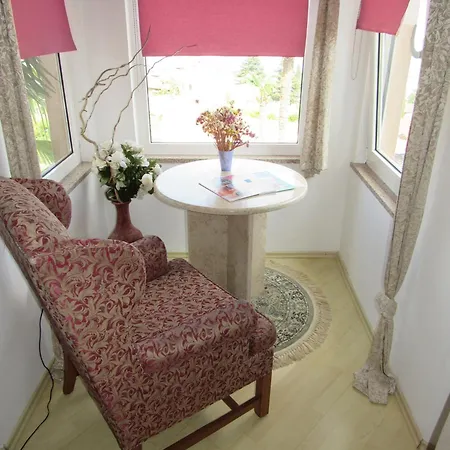 Palme 1 奥帕提亚